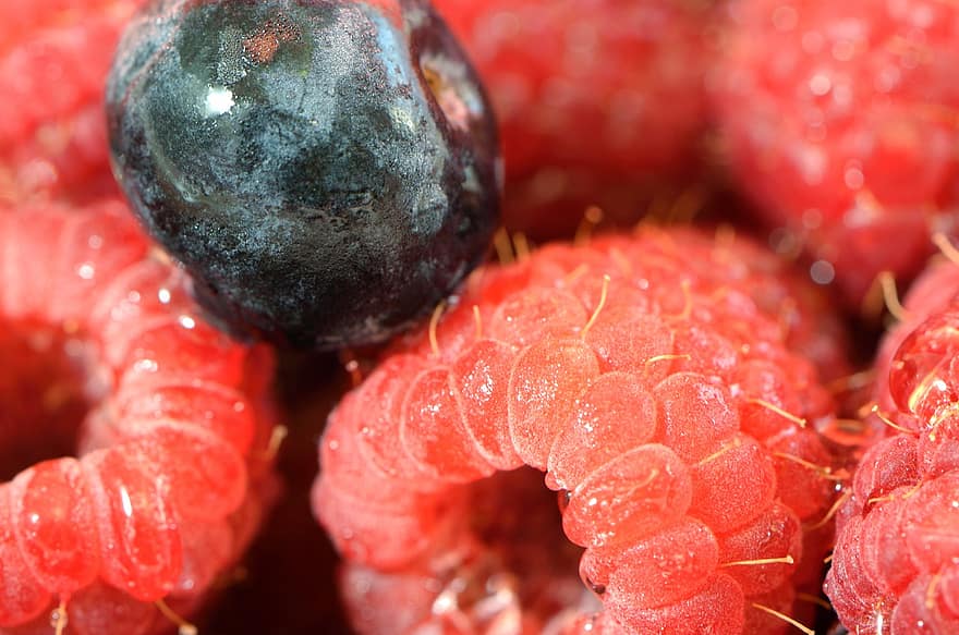 Fruits, Raspberries, Blueberry, Berries, Close Up