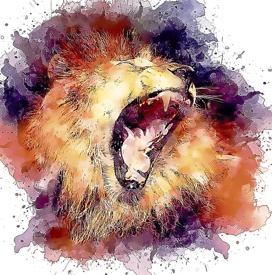 Lion, Pride, Male, Mammal, Power, Fur, Majestic, Feline, Africa, Confidence, Strength