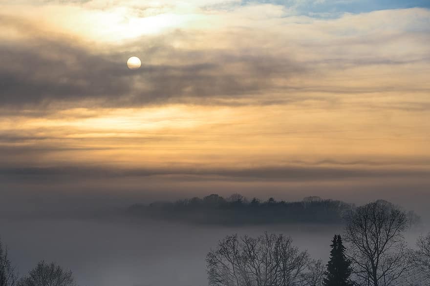 Sunrise, Fog, Trees, Sun, Dawn, Morning Fog, Forest, Silhouettes, Tree Silhouettes, Clouds, Nature