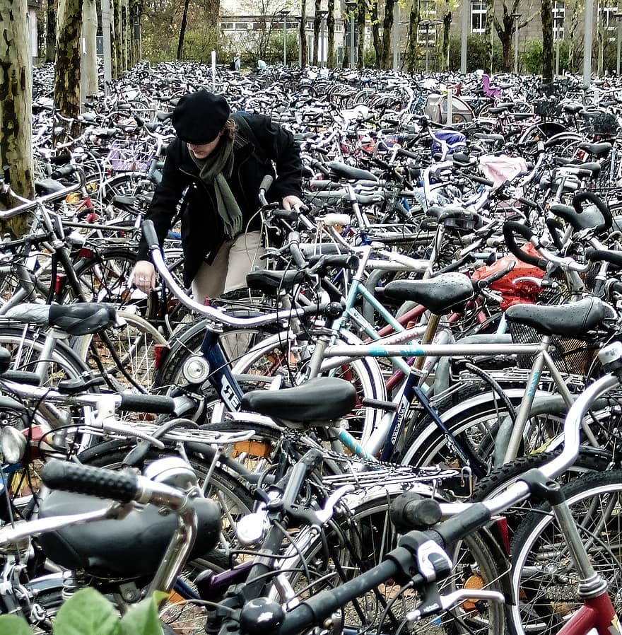 bicycles, bike racks, park, bicycle, cycling, mode of transport, cycle, transportation, sport, city life, lifestyles