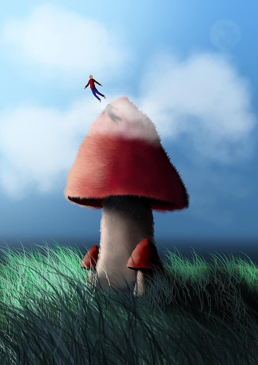 fungo, fungo velenoso, caduta, cielo, natura, saltare, tuffo, alto, erba, illustrazione, cartone animato