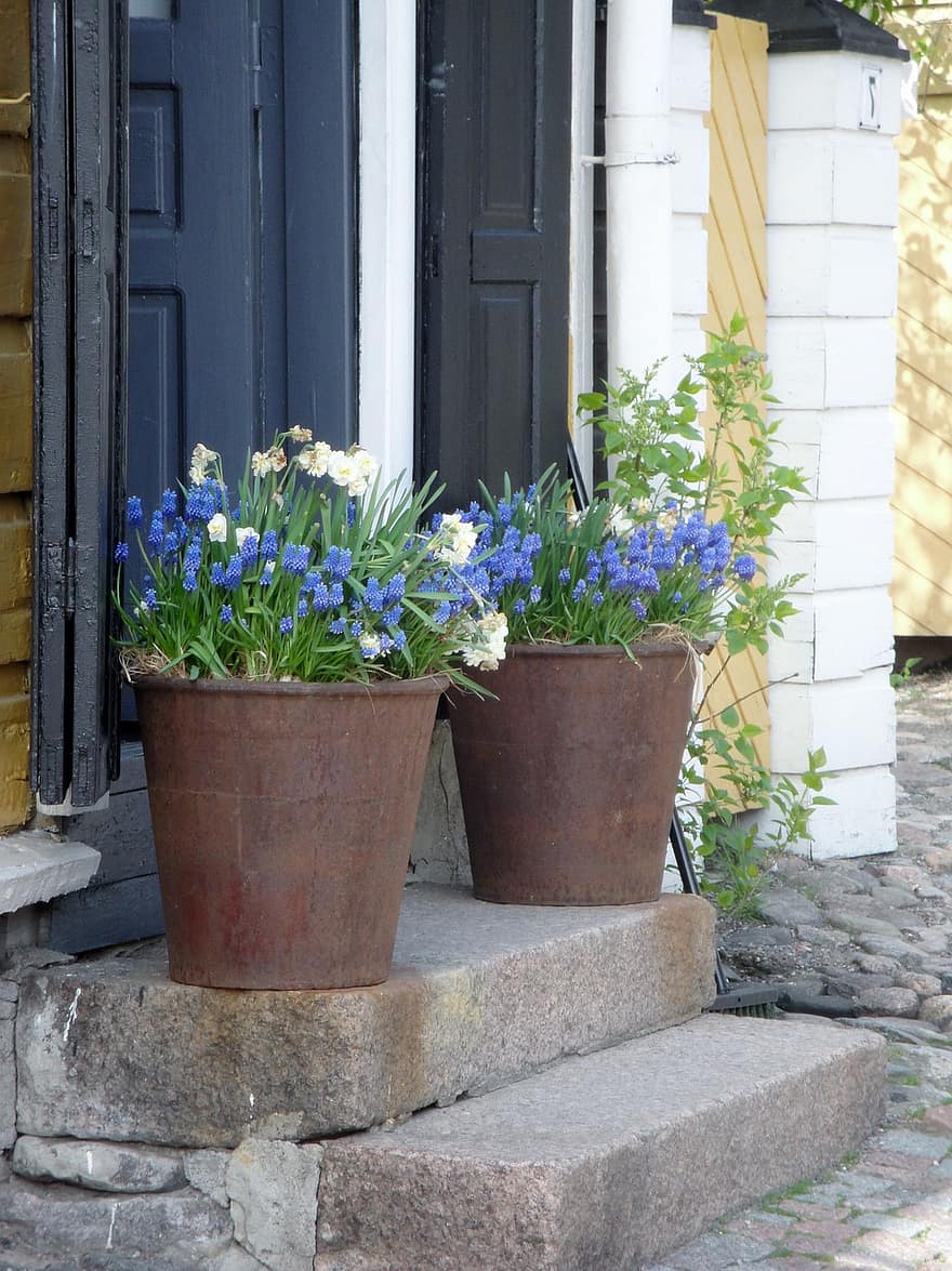 fleurs, pot, porte, escaliers, pas, entrée, maison, porte d'entrée, les plantes