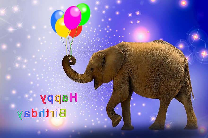 emocijas, dzimšanas diena, apsveikuma kartīte, sveiciens, daudz laimes dzimšanas dienā, prieks, balons, zilonis