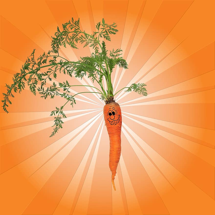 carotte, légume, aliments, en bonne santé, nutrition, biologique, produire, vitamines, Frais, la nature, végétalien