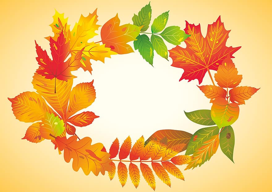 Autumn Beginning, Colorful, Leaves, Autumn, Fund, Background, Text Box, Fall Color, Fall Foliage, Nature, Autumn Leaf