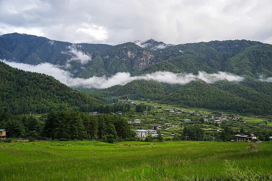 montañas, bosque, campos, arboles, pueblo, nubes, niebla, paisaje, escénico, al aire libre, Bután