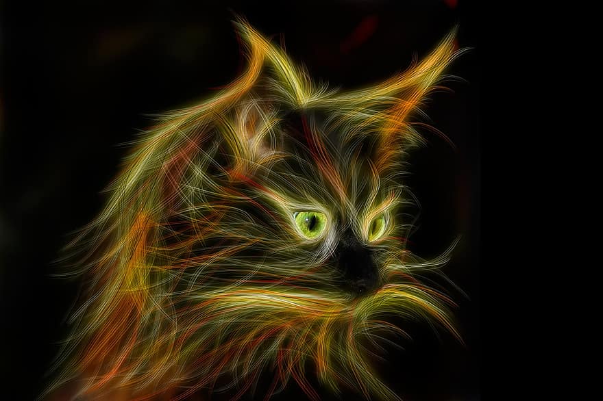 katė, šviesos tapyba, maine coon, katės akys, gyvūnų portretas, katės portretas, siluetas, kačių siluetas, veidas, gyvūnas, galvos brėžinys