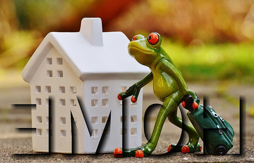 Frog, Arrive, Home, Funny, Sweet, Cute, Figure, Decoration, Luggage, Trolley