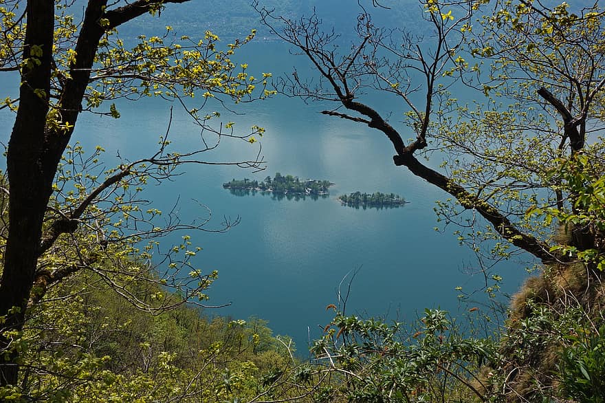 Brissago, езеро Маджоре, Швейцария, остров, езеро, Тичино, Поход на голяма надморска височина, природа