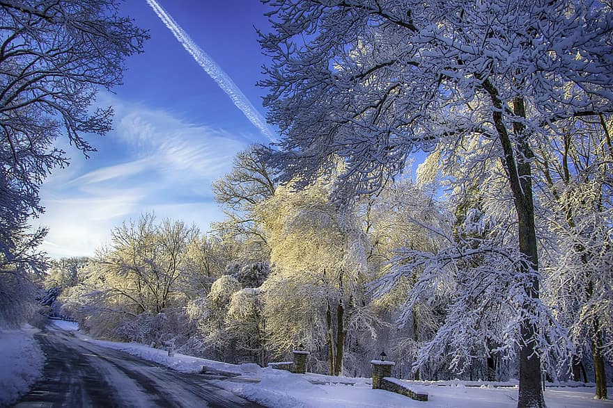 carretera, neu, arbres, bosc, hivern, nova Anglaterra, South Borough, massachusetts, temporada, escènic, naturalesa