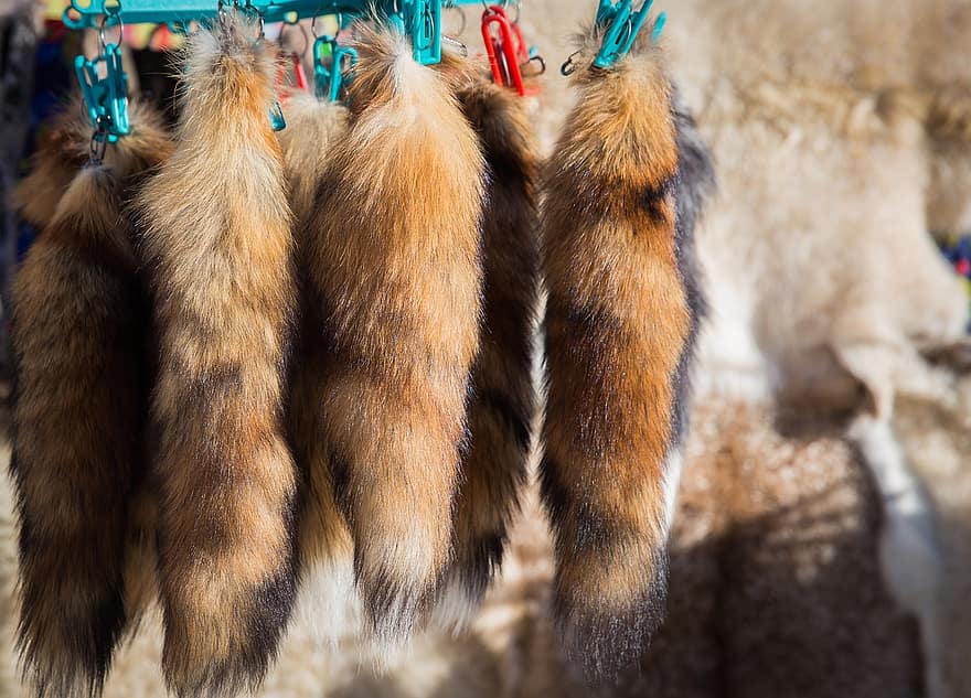 Fox Fur, Animal Hide, Hanging