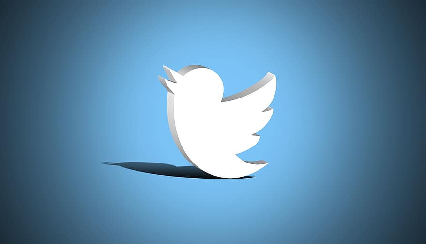 Twitter, simbolis, socialiniai tinklai, piktograma, skaitmeninė iliustracija, piešimas