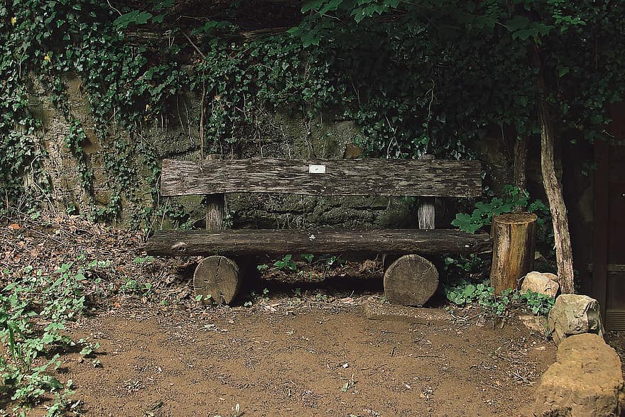 ghế băng gỗ, cây thường xuân, Tường, Băng ghế, cây, đá, Thiên nhiên