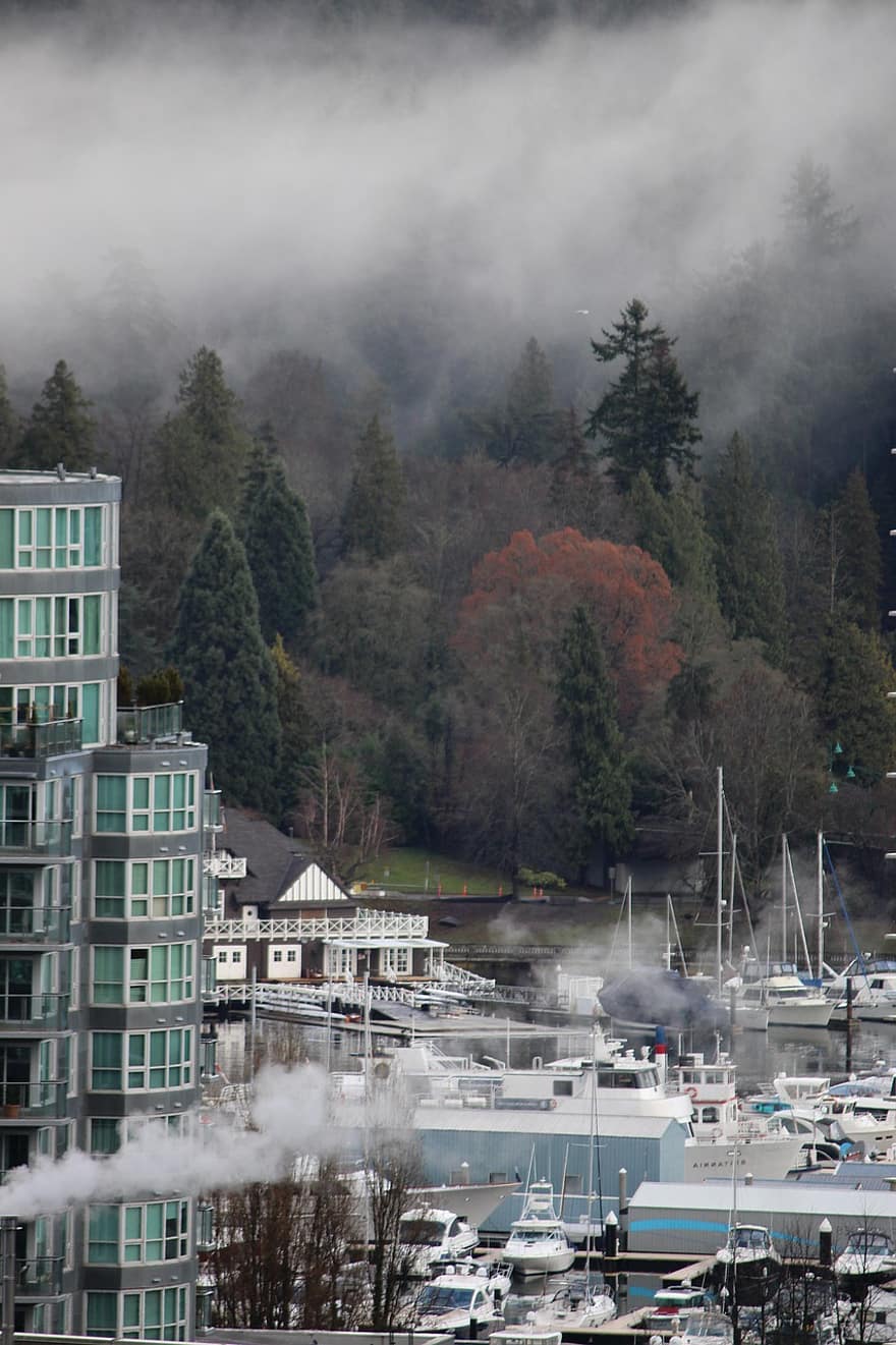 torony, köd, szén kikötő, csónak, stanley park, vancouver, Kanada, tájkép, téli, időjárás, évszak