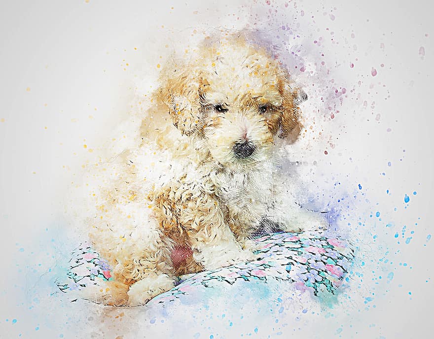 koira, villakoira, lemmikki-, taide, abstrakti, akvarelli, vuosikerta, eläin, värikäs, pentu, T-paita