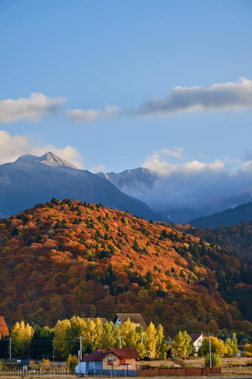 les, podzim, hora, stromy, vesnice, Příroda, krajina, venkovské scény, strom, modrý, mrak