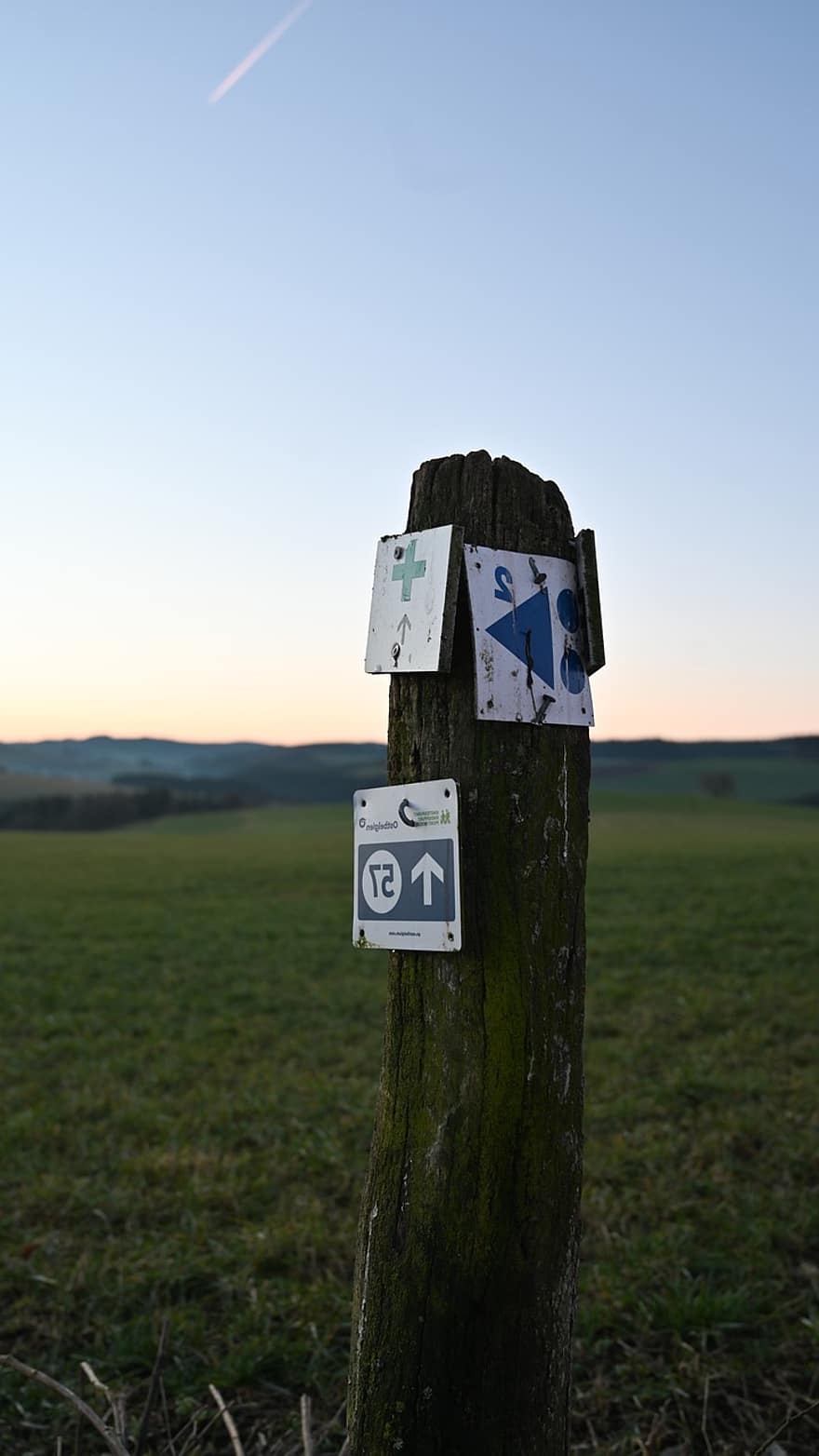East Belgium, Signpost, Sign, Nature, Arrow, Direction, Node, Belgium, grass, summer, wood