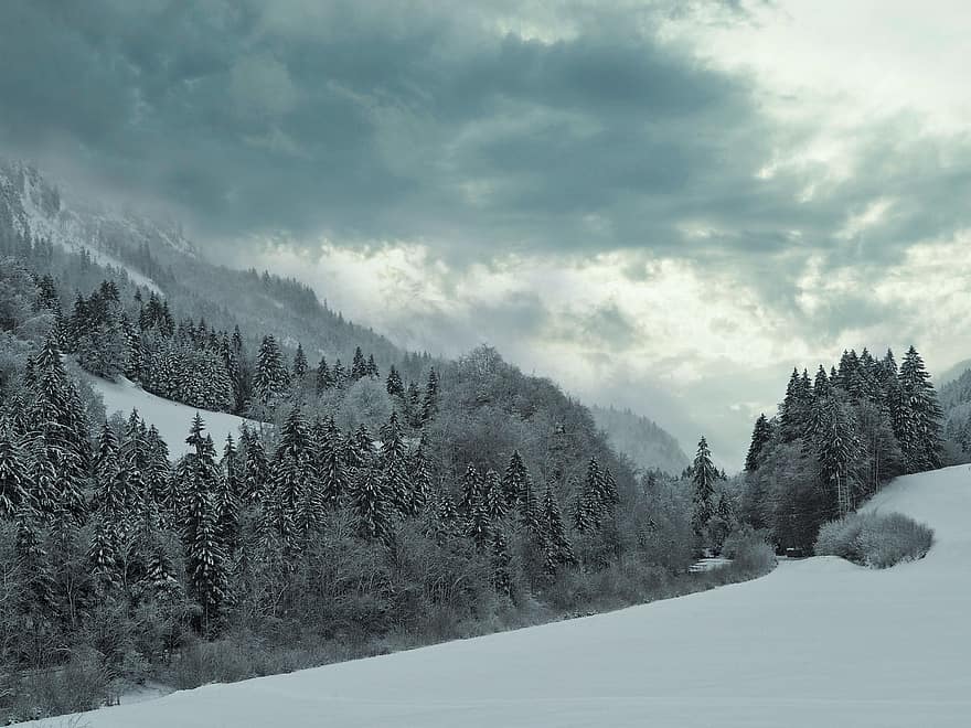 природа, лес, зима, время года, пустыня, на открытом воздухе, Оберстдорф, allgäu, горы, пейзаж, снег