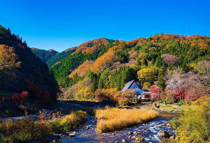 kraštovaizdį, slėnyje, Japonija, „Nikon“, tamronas, 35 mm, rudenį