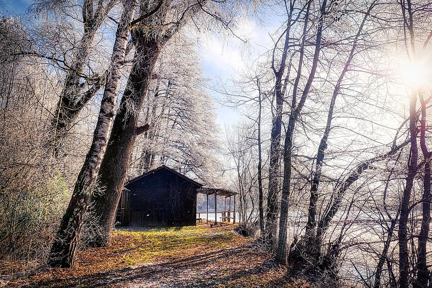 Hut, Trees, Winter, Lake, Cabin, House, Forest, Snow, Frost, Cold, Hoarfrost