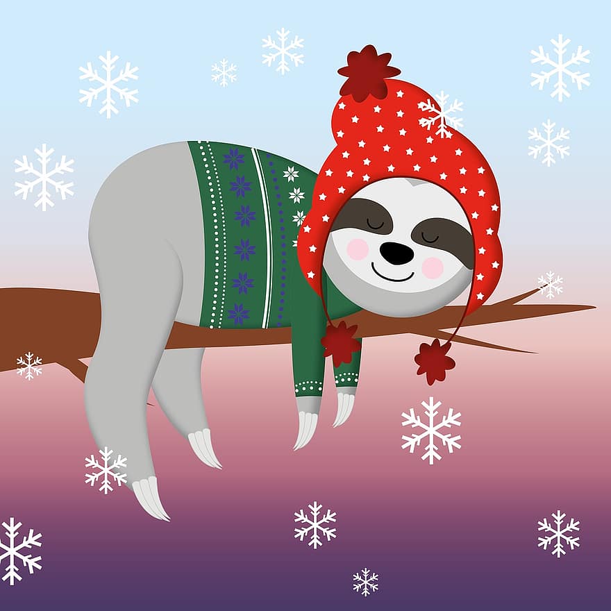 лінивець, зима, Різдво, сніг