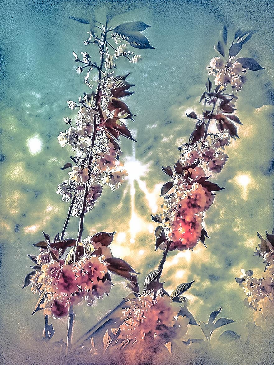 पस्टेल, चमक, आकाश, हवा, फूल का पेड़