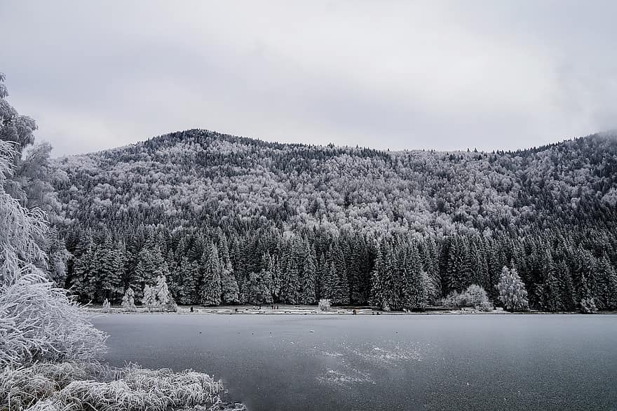 Lake, Frozen, Mountain, Winter, Snow, Ice, Cold, Iced, Pond, Trees, Woods