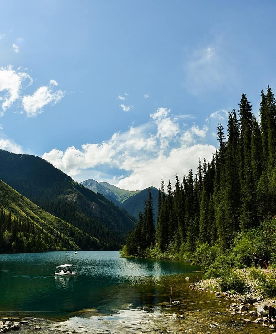 Lake, Forest, Mountains, Pines, Spruce, Nature