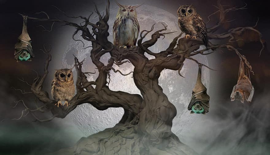 tapeta hd, Fantazja, sowy, nietoperze, drzewo, księżyc, pełnia księżyca, stare drzewo, sylwetka, ptaki, Zwierząt
