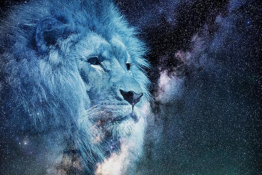 Lew, gwiaździste niebo, noc, niebieski, zwierzę, herb, włosy, kaganiec, Photoshop, galaktyka, duchowy