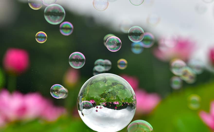 пузырьки, мыло, отражение, сад, веселье, лотос, храм