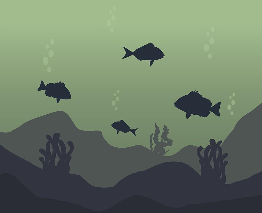 मछली, समुद्र, सागर, प्रकृति, मूंगा, एक्वासैटिक, पानी के नीचे