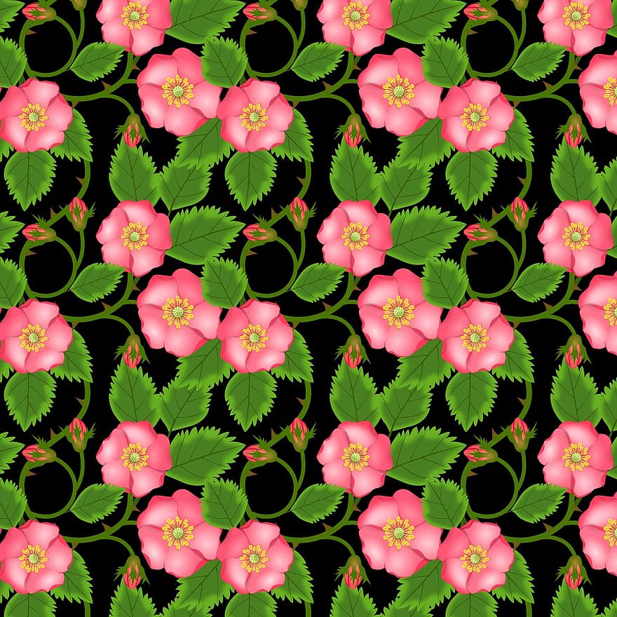 Roses, Flowers, Bud, Pink, Red, Entwine, Green, Black, Leaves, Design, Decorative