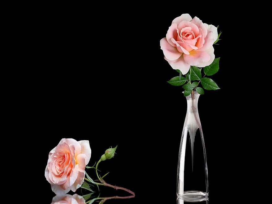 rožės, vaza, apdaila, gėlės, žydi, dekoratyvinis, romantiškas, žiedas