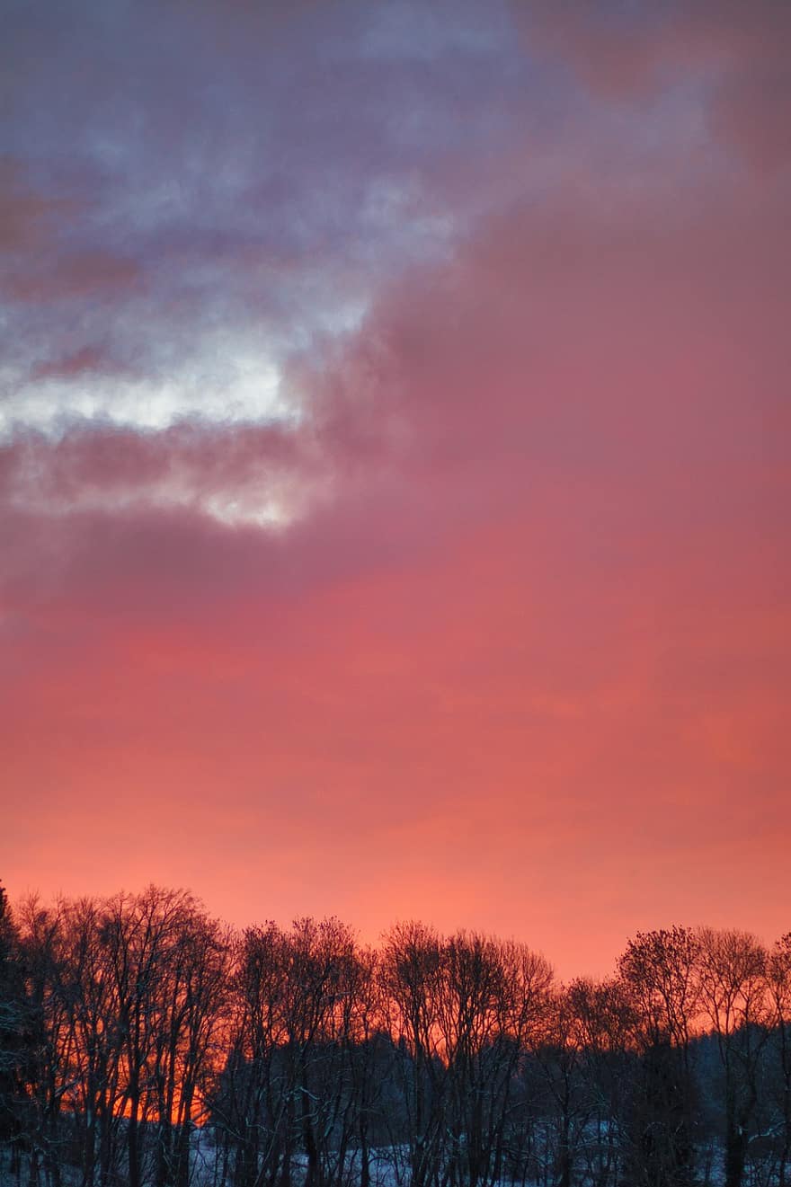 zonsondergang, bomen, winter, silhouetten, wolken, hemel, schemer, schemering, nagloed, schilderij met veel lucht, cloudscape