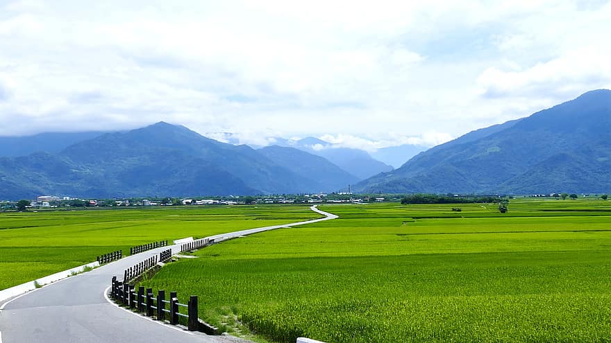 campos de arroz, campo, taitung, Taiwán, Camino del paraíso, la carretera, rural