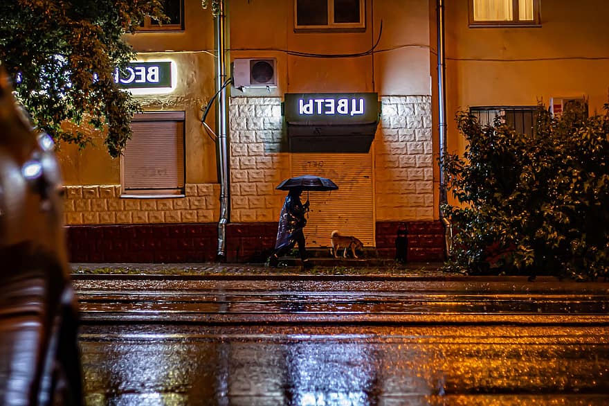 mężczyzna, pies, parasol, Człowiek w deszczu, nocny deszcz, deszcz w mieście, Deszczowe ulice miasta, deszcz, noc, mokro, życie w mieście