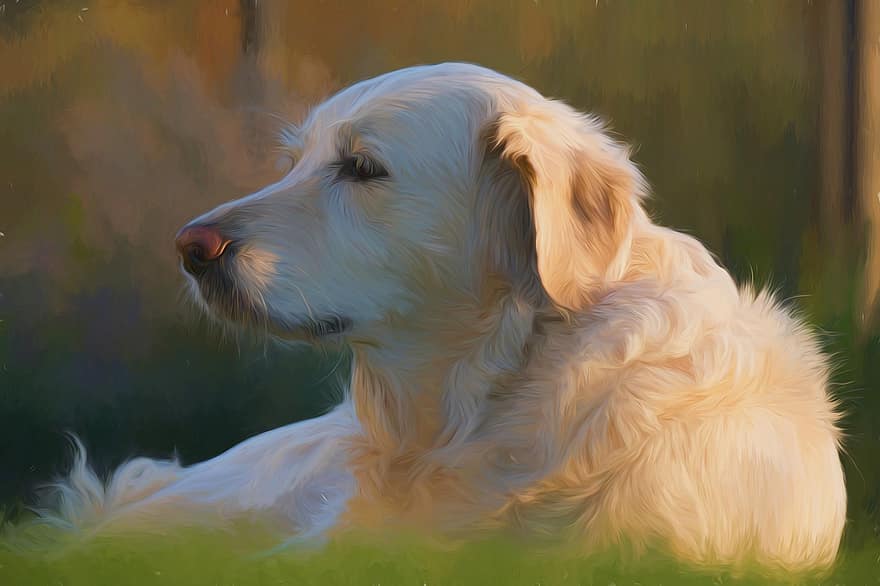 Painting, Oil Painting, Photo Painting, Art, Artwork, Creative, Animal Portrait, Digital Art, Digital Painting, Dog, Pet