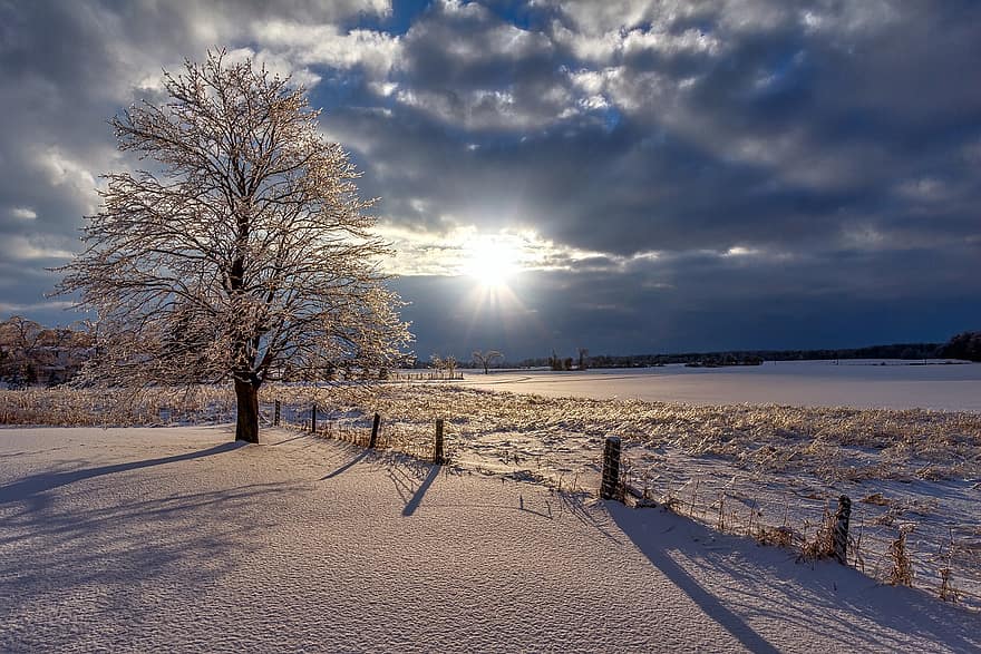 zimní, západ slunce, sníh, Příroda, krajina, strom, nebe, zamrzlý, Studený, mráz, turistika