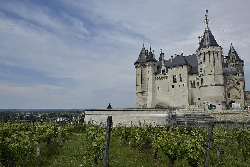 Loire Anjou Touraine, pilis, Prancūzija, saumur, kraštovaizdį, vynuogynas