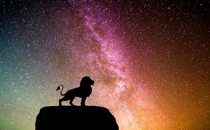 lauva, karalis, naktī, zvaigznes, tronis, stāv, majestātisks