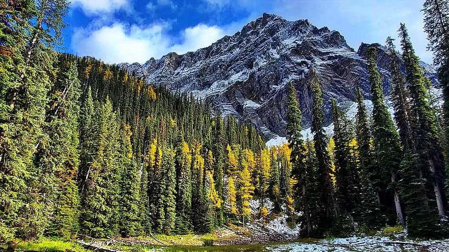 Banff, metsä, vuoret, järvi, Alberta, Kanada, luonto, lumi, talvi-