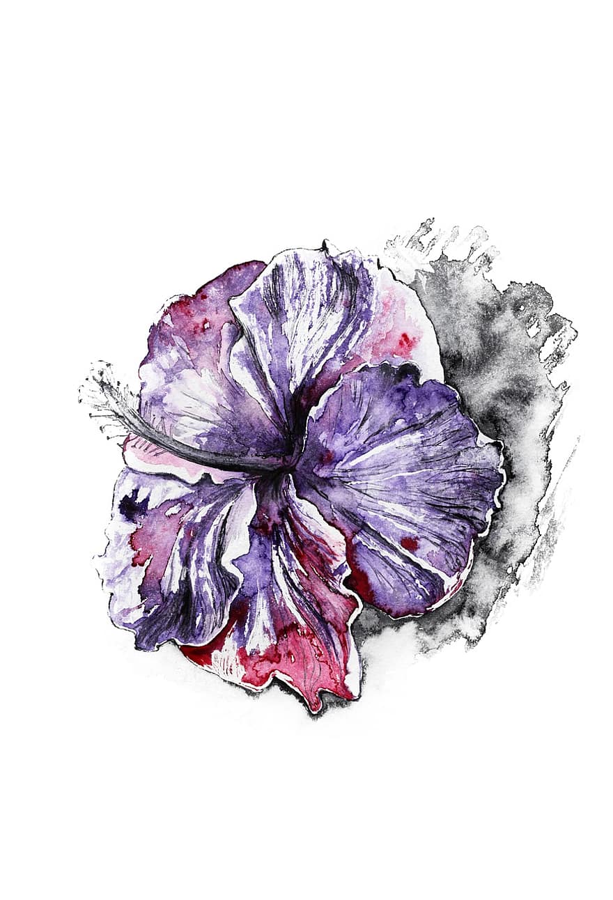 Violet, Flower, Purple, Bloom, Blossom, Flora, Floral, Nature, Painting, Watercolor, Watercolour