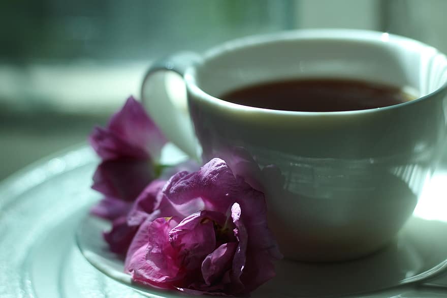 tēja, dzert, tasi, pieauga, tuvplāns, svaigumu, zieds, fona, kafija, lapas, tabula