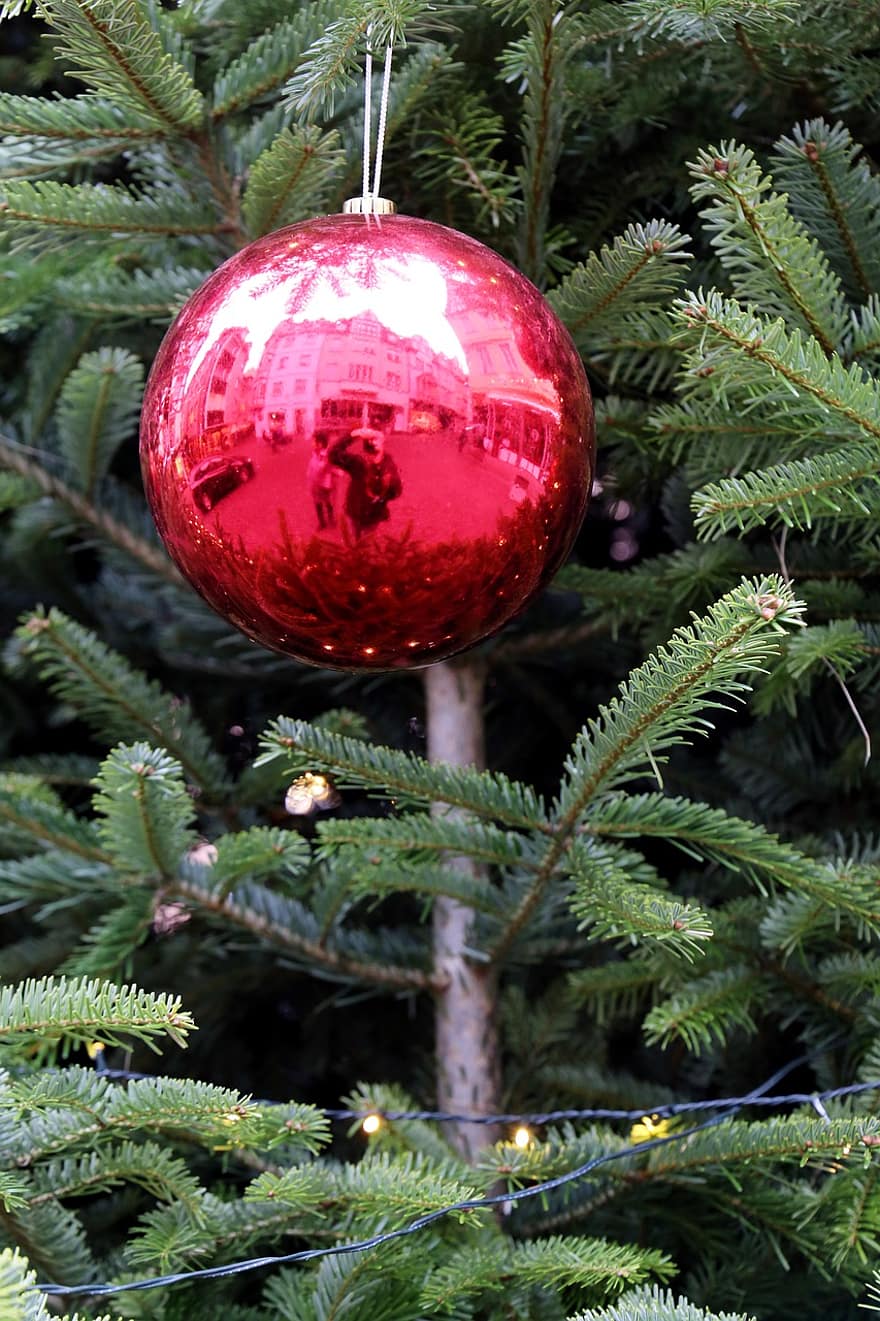 julekule, juletre, jul, refleksjon, rød jule ball, bauble, ornament, julepynt, gran tre, dekorasjon
