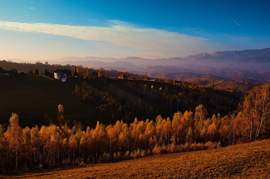 bjerge, landsby, efterår, landskab, Brasov, Magura, Rumænien, by, træer, Skov, skov