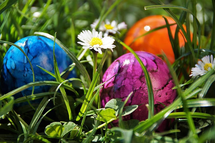 Ei, Farbe, Ostern, Tradition, Osterzeit, Frühling, Gras, grüne Farbe, Blume, mehrfarbig, Wiese