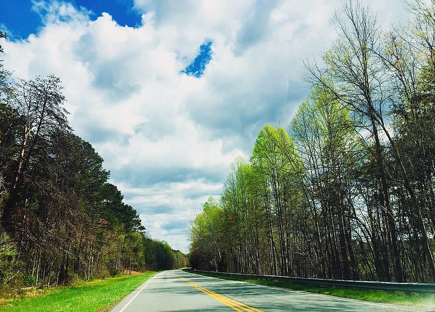 도로, 봄, 나무, 자연, 경치, 고속도로
