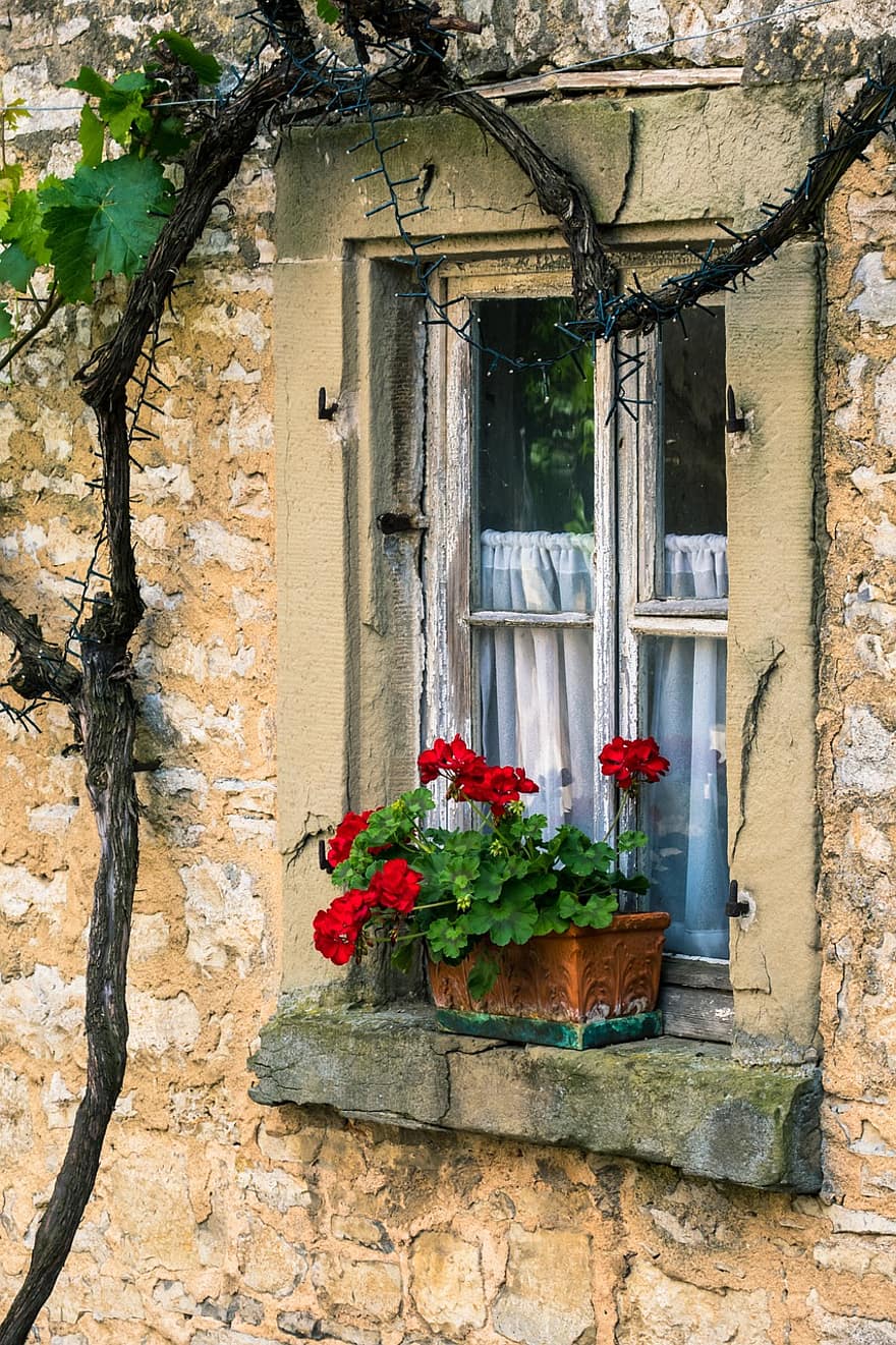 παράθυρο, πρόσοψη, άμπελος, κρασί, ξύλινα παράθυρα, παλαιός, κουτί με λουλούδια, φυσική πέτρα, πέτρινη πρόσοψη, λουλούδι, αρχιτεκτονική