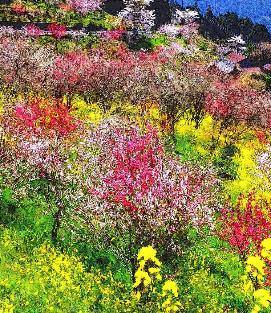 Er det forårstid, udendørs, plante, blomst, farve, lyse, lykkelig, natur, blomster, forår, Mark